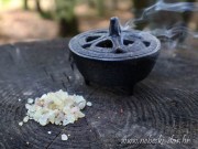 mirisna smola kopal, copal